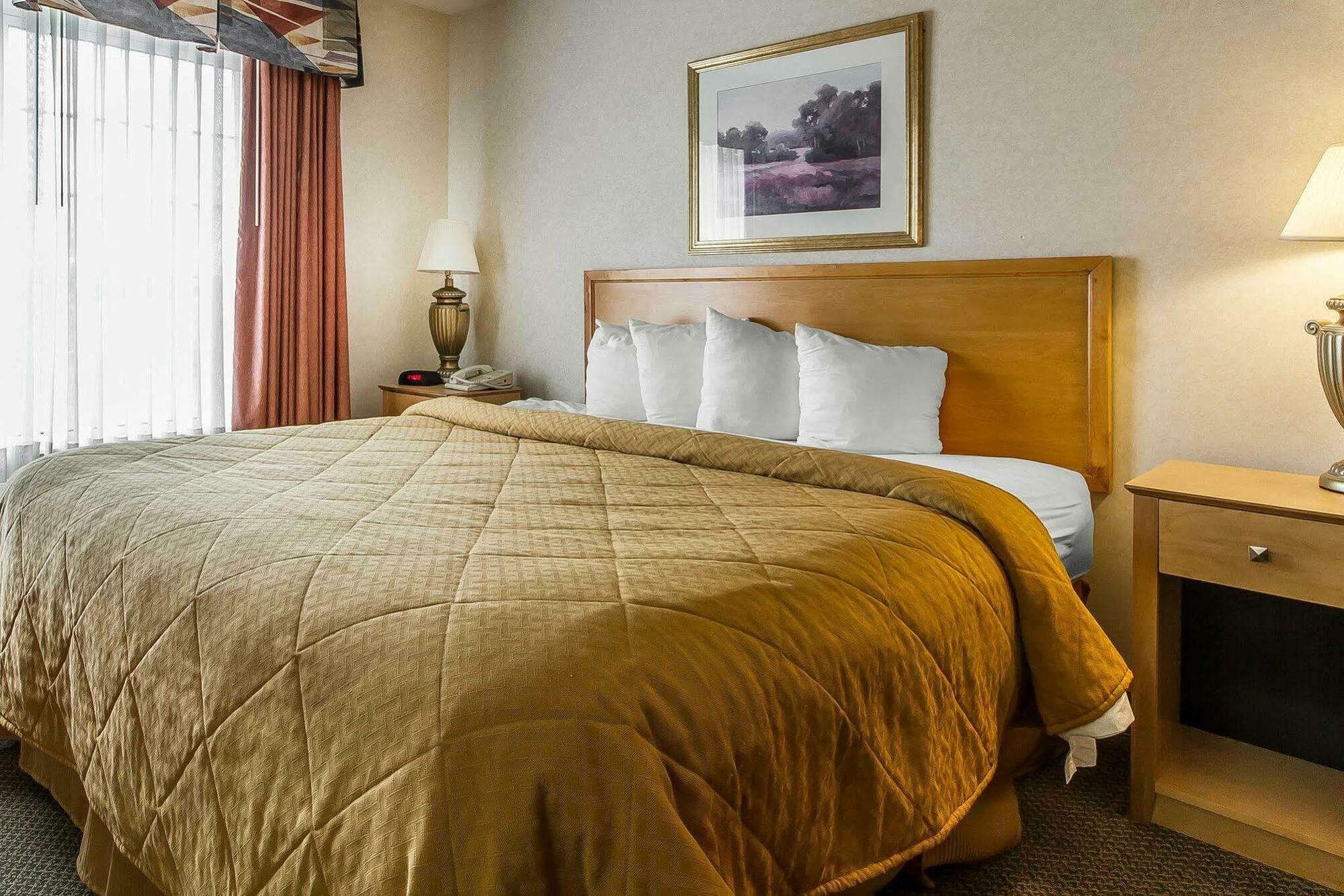 Quality Inn & Suites Lodi I-90 Екстериор снимка